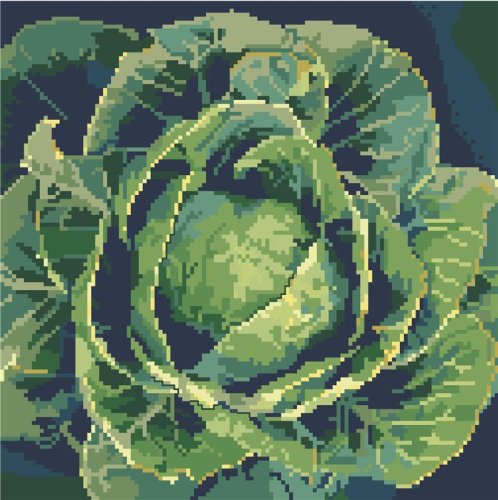 (image for) Glorious Cabbage